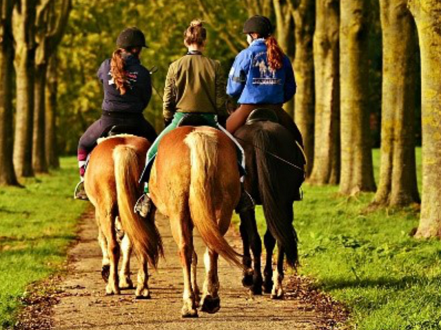 kurs_instruktora_jazda_konna_polski_instytut