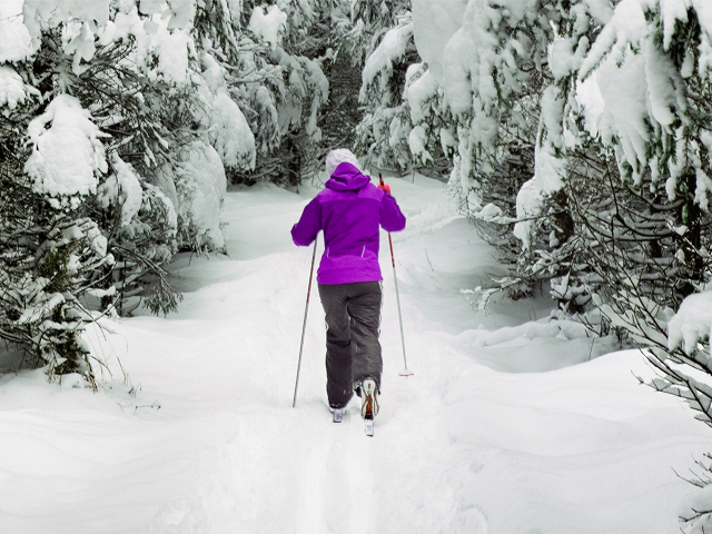 kurs_narciarstwo_biegowe_polski_instytut