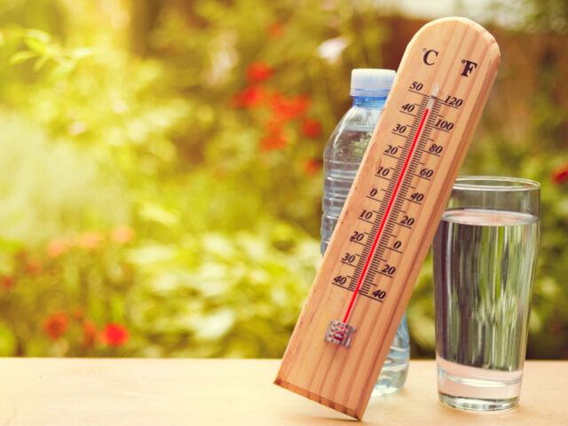 71338650 - thermometer on summer day showing high temperature near 45 degrees